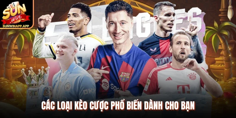 Các loại kèo cược phổ biến dành cho bạn