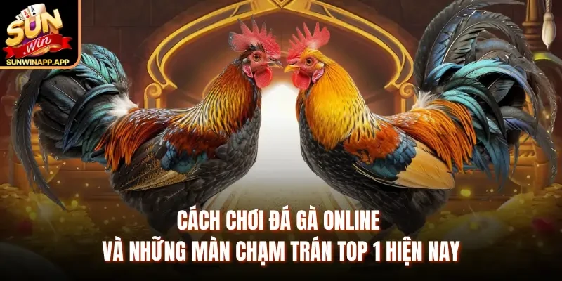 Cách Chơi Đá Gà Online Và Những Màn Chạm Trán Top 1 Hiện Nay