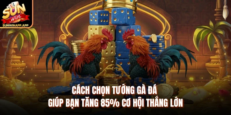 Cách Chọn Tướng Gà Đá Giúp Bạn Tăng 85% Cơ Hội Thắng Lớn
