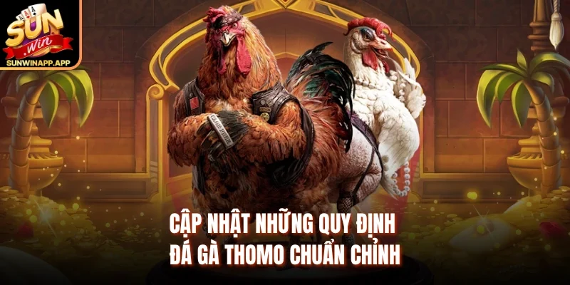 Cập nhật những quy định đá gà Thomo chuẩn chỉnh 