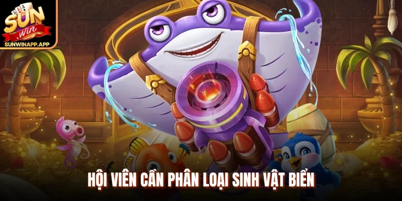 Hội viên cần phân loại sinh vật biển