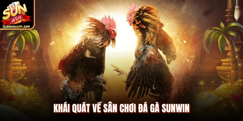 Khái quát về sân chơi đá gà Sunwin 