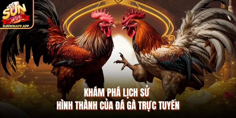 Khám phá lịch sử hình thành của đá gà trực tuyến