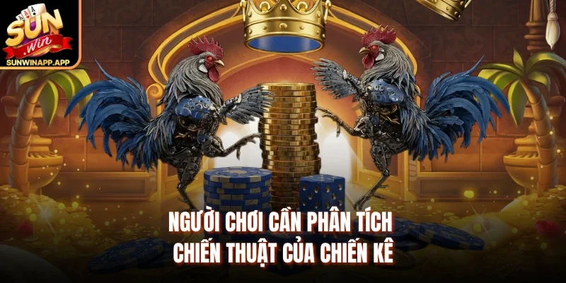 Người chơi cần phân tích chiến thuật của chiến kê