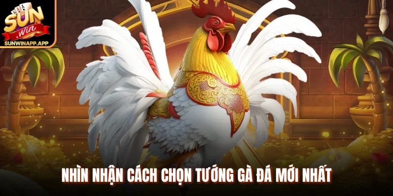 Nhìn nhận cách chọn tướng gà đá mới nhất