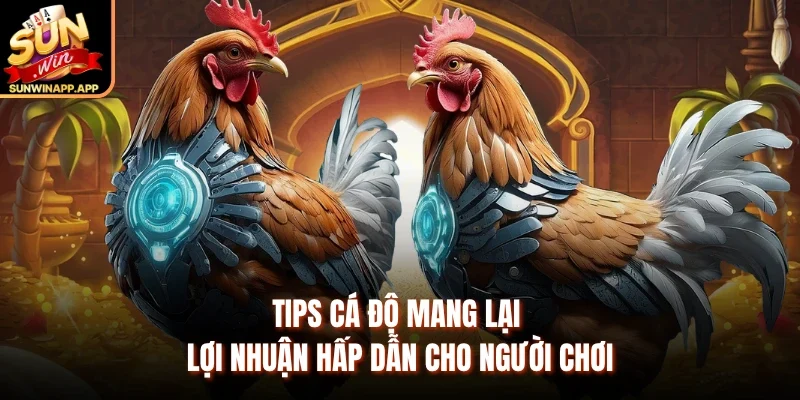 Tips cá độ mang lại lợi nhuận hấp dẫn cho người chơi