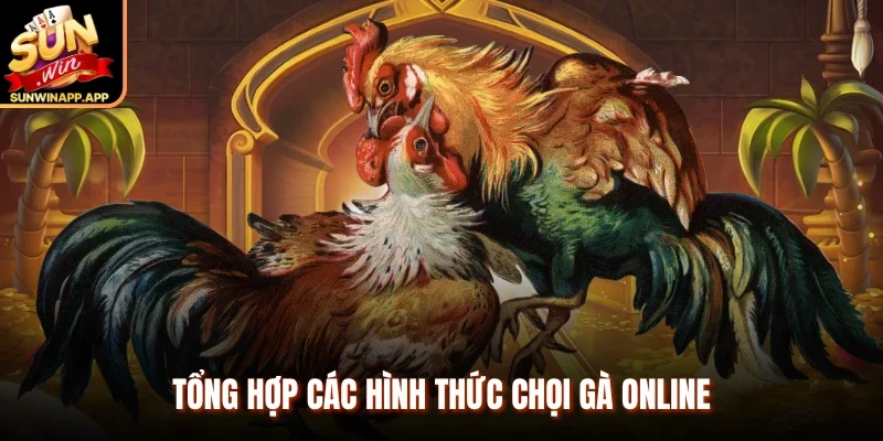 Tổng hợp các hình thức chọi gà online