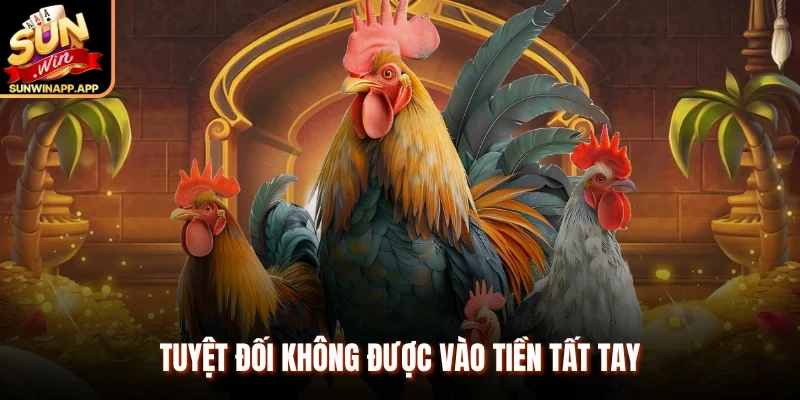 Tuyệt đối không được vào tiền tất tay